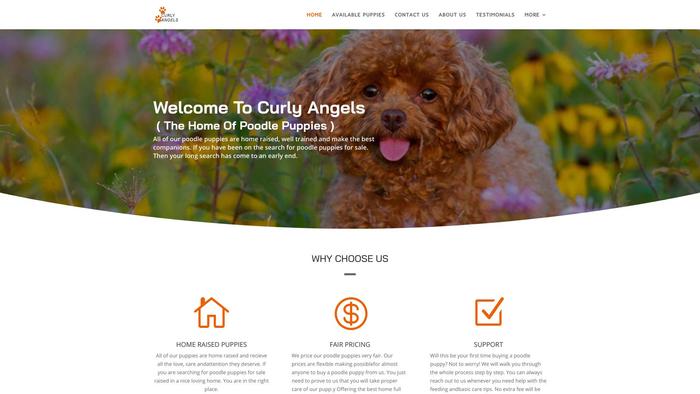 Curlyangels.com - Poodle Puppy Scam Review