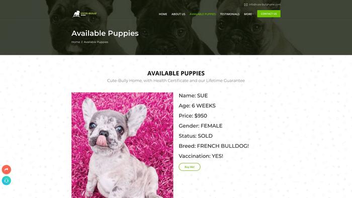 Cute-bullyhome.com - English Bulldog Puppy Scam Review