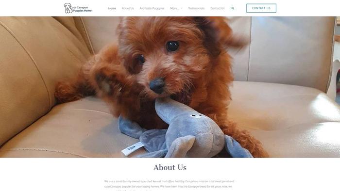 Cutecavapoopupshome.com - Cavapoo Puppy Scam Review