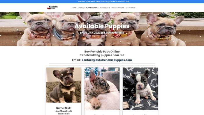 Cutefrenchiepuppies.com - French Bulldog Puppy Scam Review