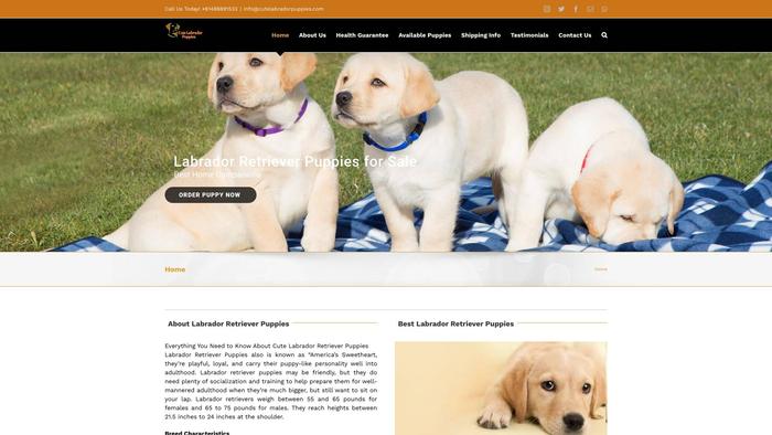 Cutelabradorpuppies.com - Labrador Puppy Scam Review