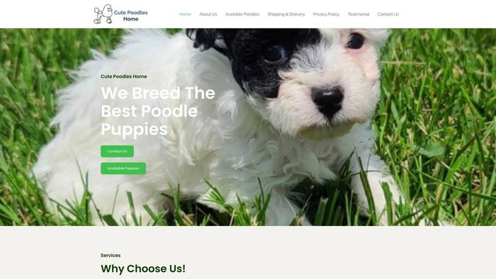 Cutepoodleshome.com - Poodle Puppy Scam Review