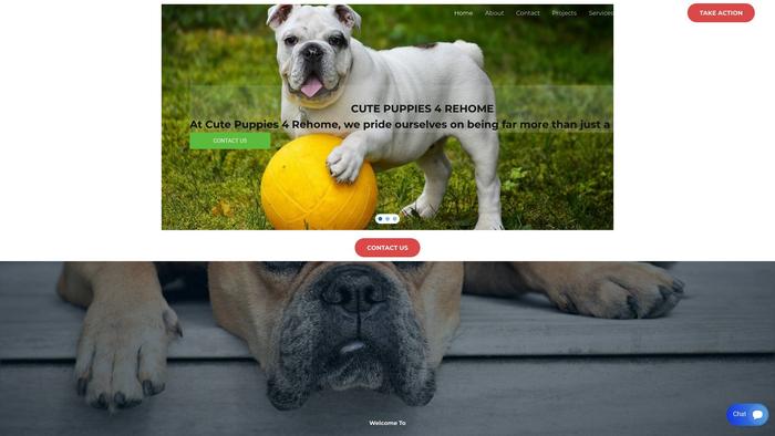 Cutepuppies4rehome.com - Pug Puppy Scam Review