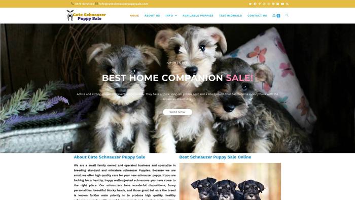 Cuteschnauzerpuppysale.com - Schnauzer Puppy Scam Review