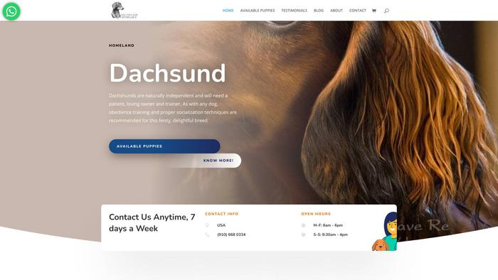 Dachshund-homeland.com - Dachshund Puppy Scam Review