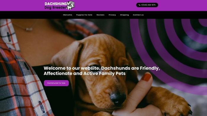 Dachshunddogbreeder.com - Dachshund Puppy Scam Review