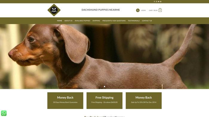 Dachshundpuppiesnearme.com - Dachshund Puppy Scam Review