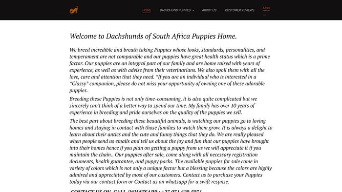 Dachshundsofsouthafrica.com - Dachshund Puppy Scam Review