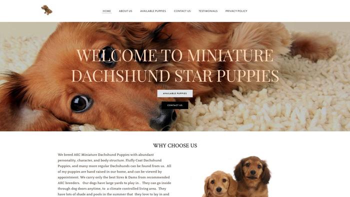 Dachshundstarslife.net - Dachshund Puppy Scam Review