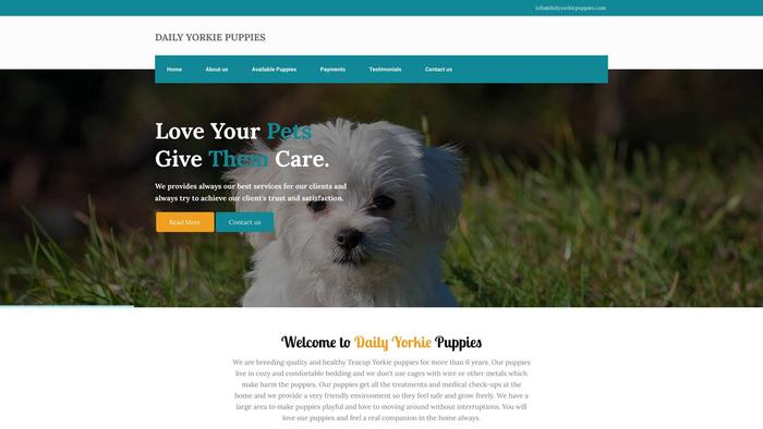 Dailyyorkiepuppies.com - Yorkshire Terrier Puppy Scam Review