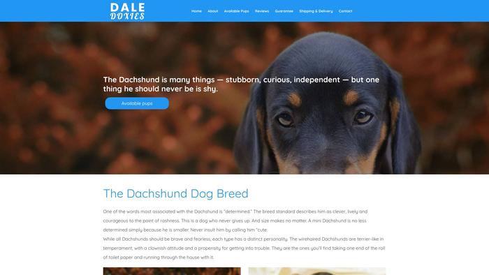 Daledoxies.com - Dachshund Puppy Scam Review