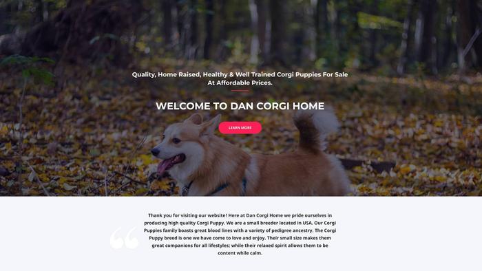 Dancorgihomes.com - Corgi Puppy Scam Review