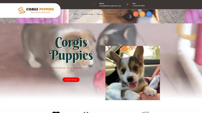 Darlacorgihome.com - Corgi Puppy Scam Review