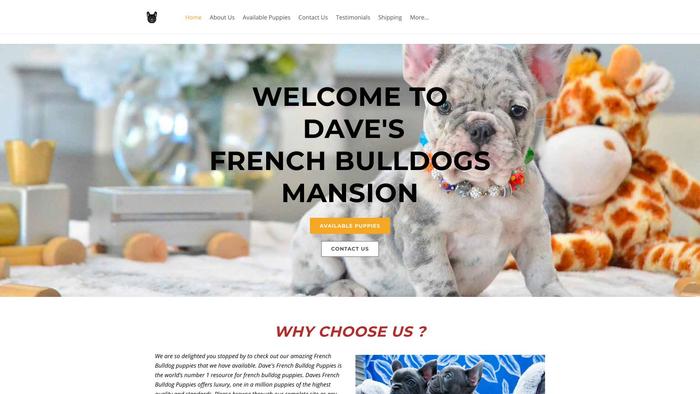 Davesfrenchiesmansion.com - French Bulldog Puppy Scam Review