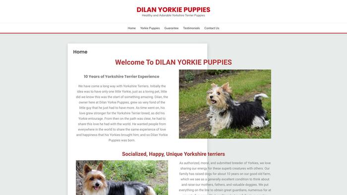 Dilanyorkiepuppies.com - Yorkshire Terrier Puppy Scam Review