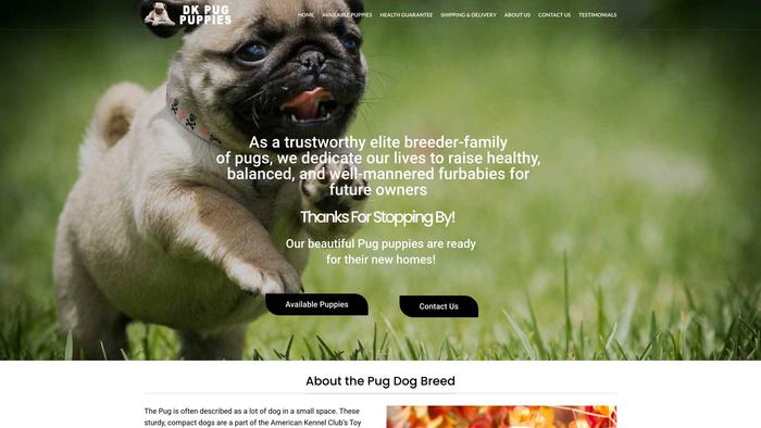 Dkpugpuppies.com - Pug Puppy Scam Review