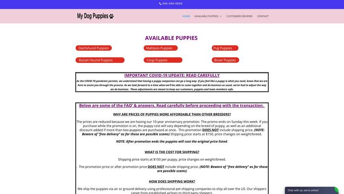 Dogypuppies.com - Dachshund Puppy Scam Review