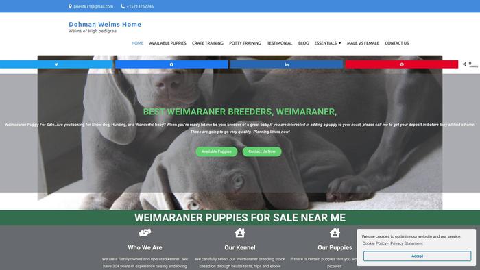 Dohmanweimaranerpups.com - Weimaraner Puppy Scam Review