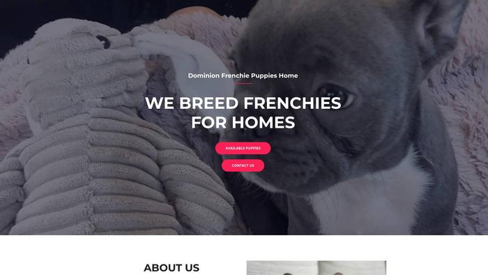 Dominionfrenchiepuppies.com - French Bulldog Puppy Scam Review