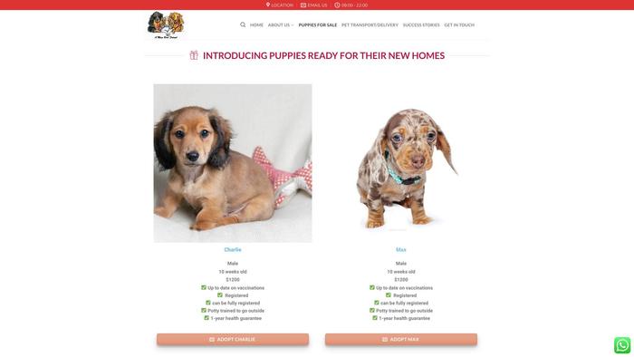 Dominionminidachshunds.com - Dachshund Puppy Scam Review