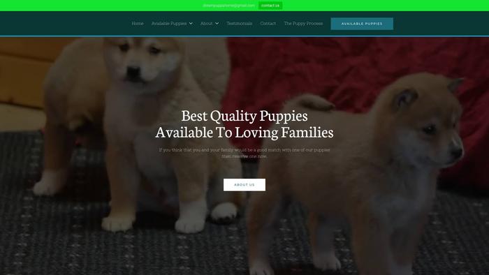 Dreampupshome.com - Maltese Puppy Scam Review