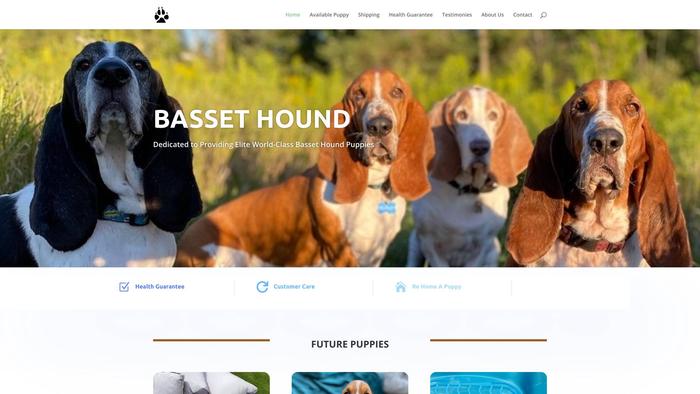 Family-shepherd.com - Bassethound Puppy Scam Review