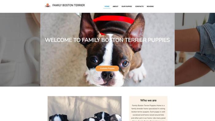 Familybostonterrierpuppies.com - Terrier Puppy Scam Review