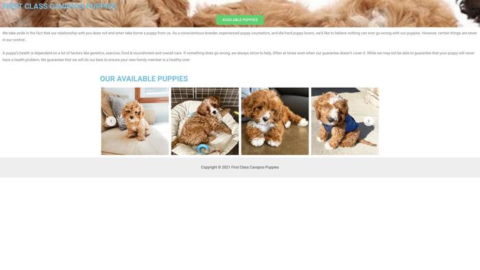 Firstclasscavapoopuppies.com - Cavapoo Puppy Scam Review