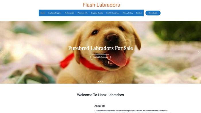 Flashlabradors.com - Golden Retriever Puppy Scam Review