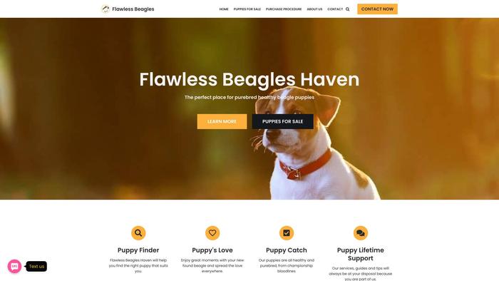 Flawlessbeagleshaven.com - Beagle Puppy Scam Review