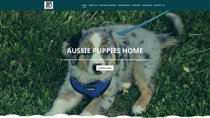 Fluffyaussiepuppies.com - Australian Shepherd Puppy Scam Review