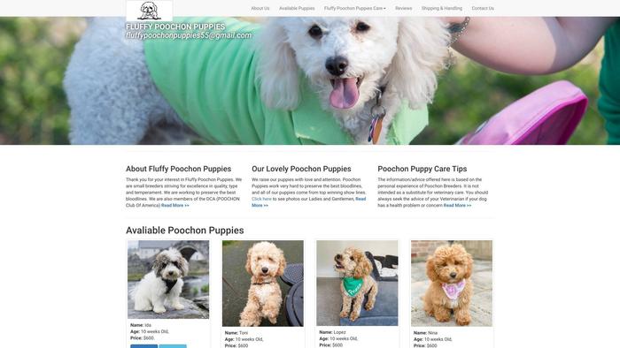 Fluffypoochonpuppies.com - Poodle Puppy Scam Review