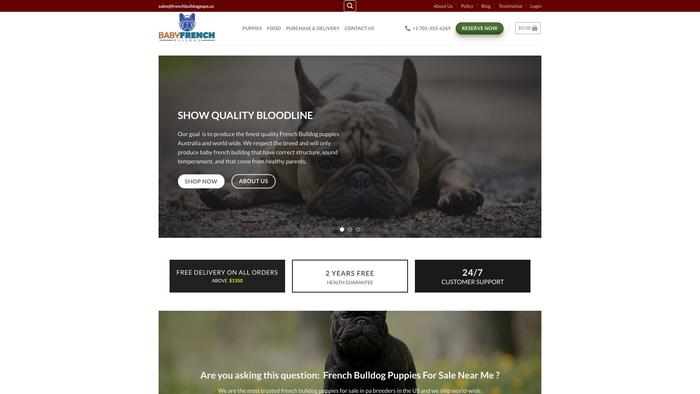 Frenchbulldogpups.us - French Bulldog Puppy Scam Review