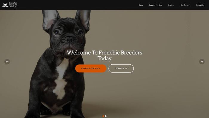 Frenchiebreederstoday.com - French Bulldog Puppy Scam Review