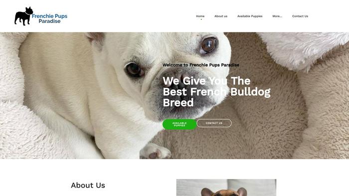 Frenchiepupsparadise.com - French Bulldog Puppy Scam Review