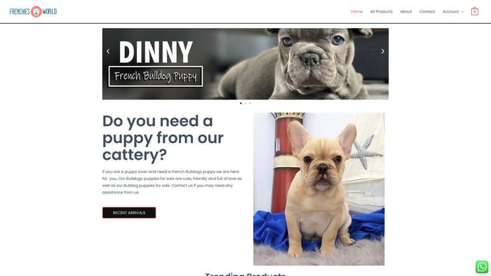 Frenchies-world.com - French Bulldog Puppy Scam Review