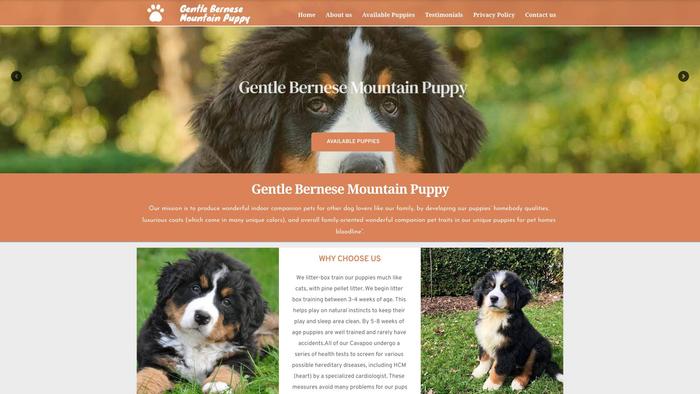 Gentlebernesemountainpuppy.com - Bernese Mountain Dog Puppy Scam Review