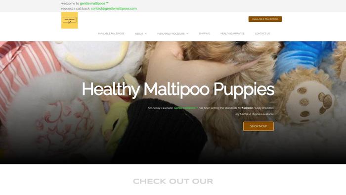 Gentlemaltipoos.com - Maltipoo Puppy Scam Review