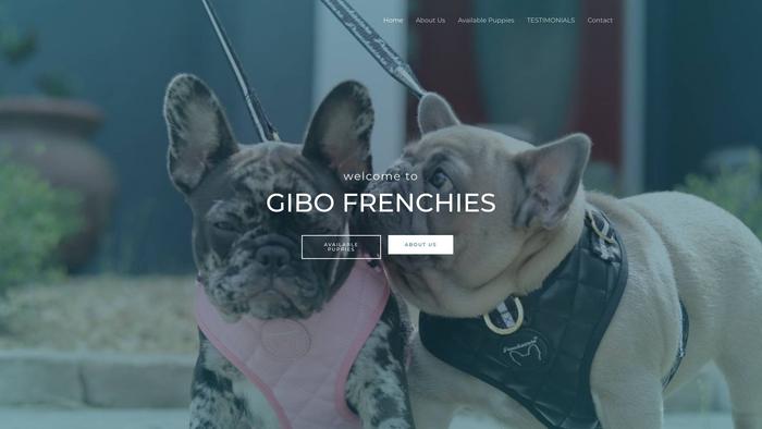 Gibofrenchies.com - French Bulldog Puppy Scam Review