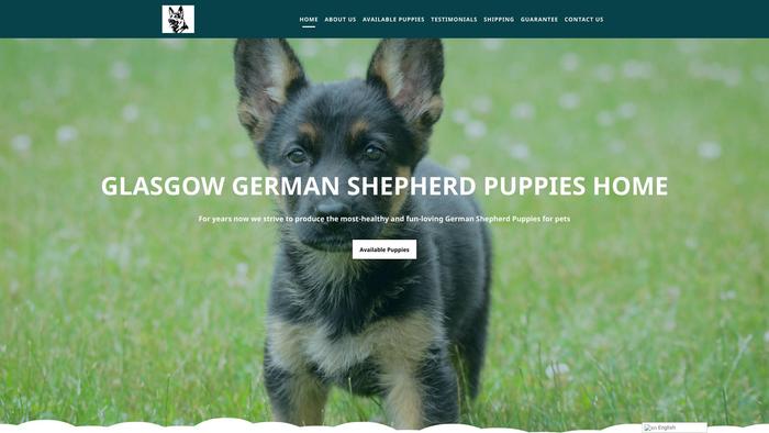 Glasgowgermanshepherdpuppieshome.com - Germanshepherd Puppy Scam Review