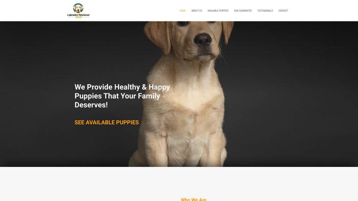 Goldlabradorretriever.com - Golden Retriever Puppy Scam Review