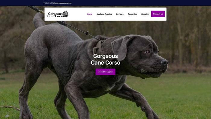 Gorgeouscanecorso.com - Cane Corso Puppy Scam Review