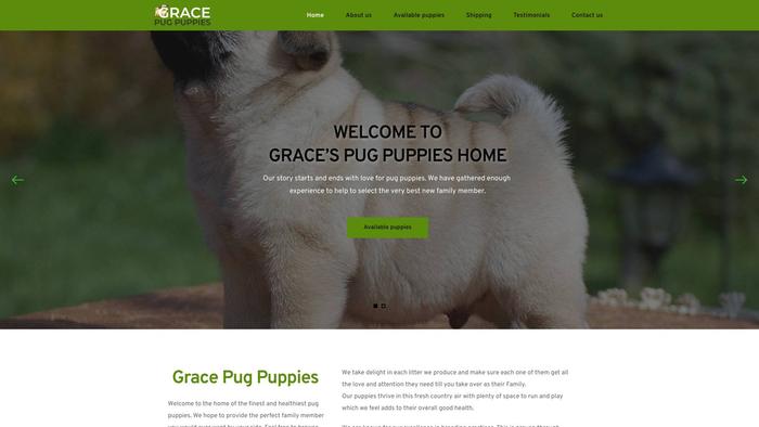 Gracepugpuppies.com - Pug Puppy Scam Review