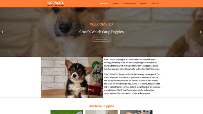 Gracewelshcorgipuppies.com - Corgi Puppy Scam Review