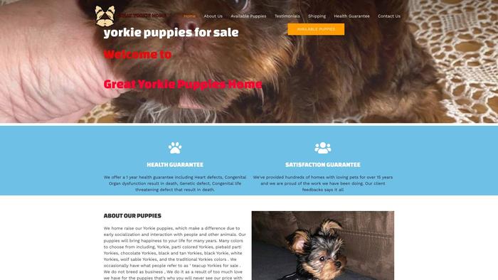 Greatyorkiepuppieshome.com - Yorkshire Terrier Puppy Scam Review