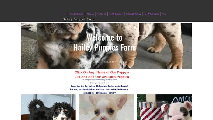 Haileypuppiesfarm.com - Bernedoodle Puppy Scam Review