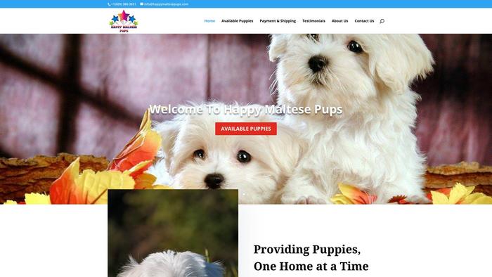 Happymaltesepups.com - Maltese Puppy Scam Review