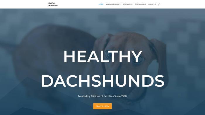 Healthydachshunds.com - Dachshund Puppy Scam Review