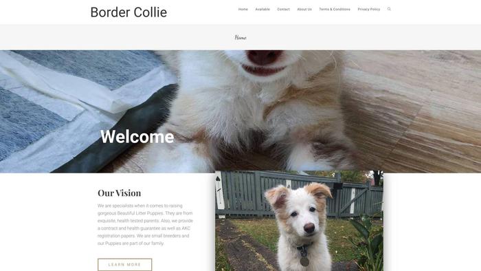 Heavenbordercollies.com - Bordercollie Puppy Scam Review