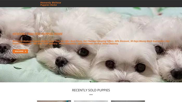 Heavenlymaltesepuppieshome.com - Maltese Puppy Scam Review